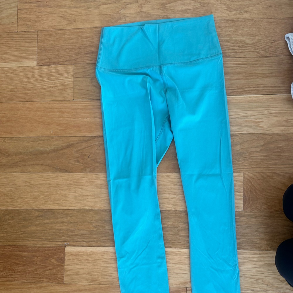 Everlane The Perform 24/7® Legging (Regular) - Dark Mint